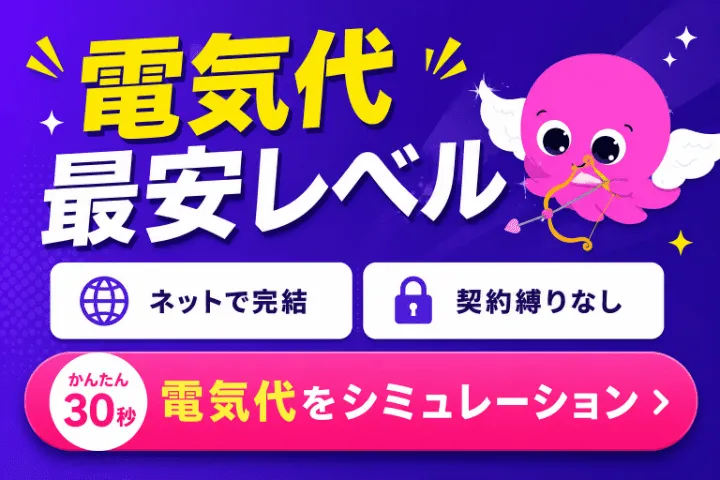 オクトパスエナジー｜電気代最安レベル｜ネットで完結・契約縛りなし